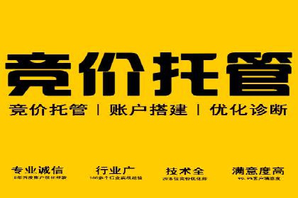 百度信息流在电商行业的营销效果案例